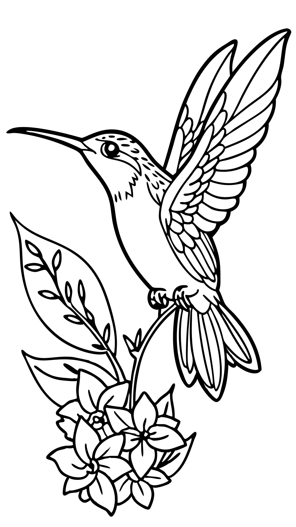 coloriages des colibris